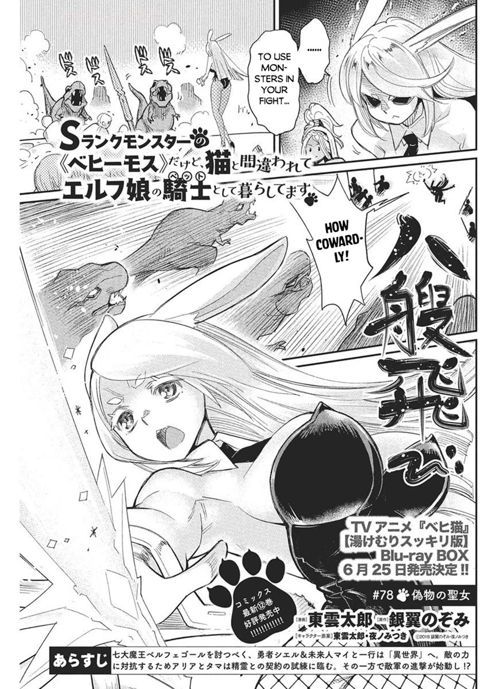 I Am Behemoth Of The S Rank Monster But I Am Mistaken As A Cat And I Live As A Pet Of Elf Girl chapter 78 page 2
