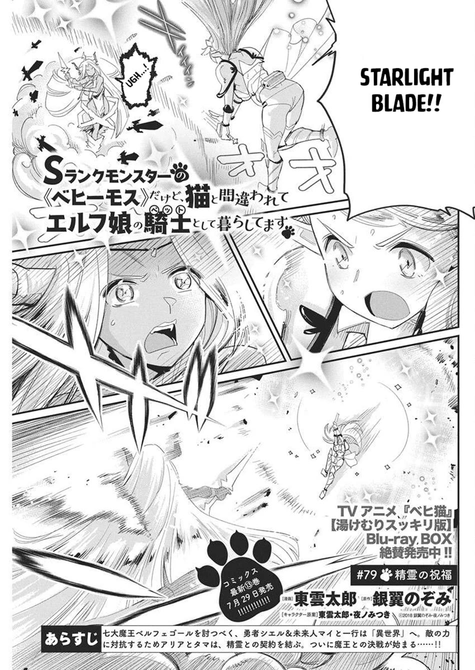 I Am Behemoth Of The S Rank Monster But I Am Mistaken As A Cat And I Live As A Pet Of Elf Girl chapter 79 page 2