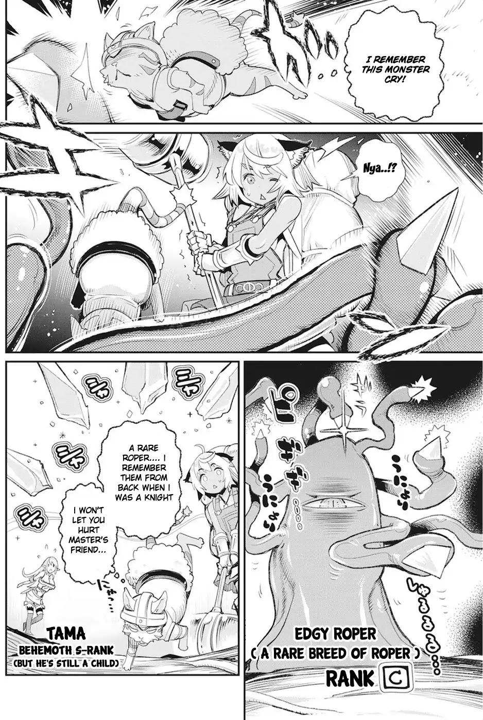 I Am Behemoth Of The S Rank Monster But I Am Mistaken As A Cat And I Live As A Pet Of Elf Girl chapter 8 page 10