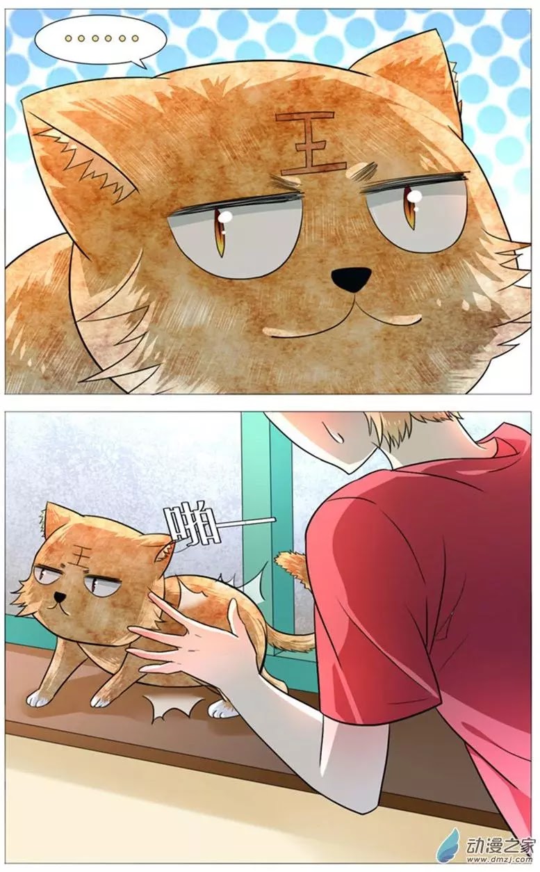 I Am My Wife chapter 50 page 11