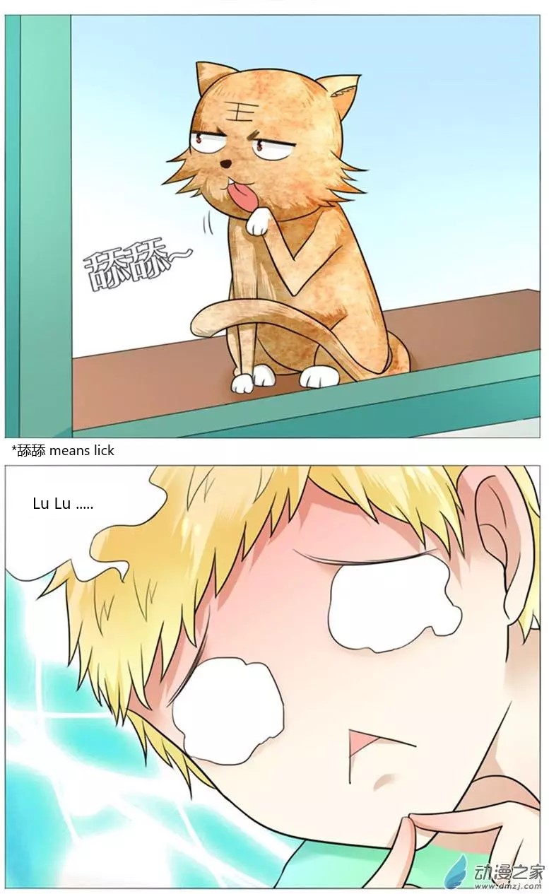 I Am My Wife chapter 50 page 12