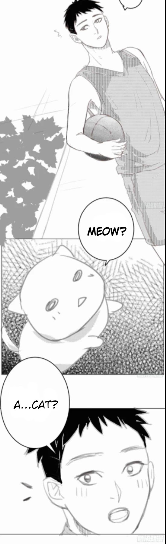 I Am My Wife chapter 60.5 page 2