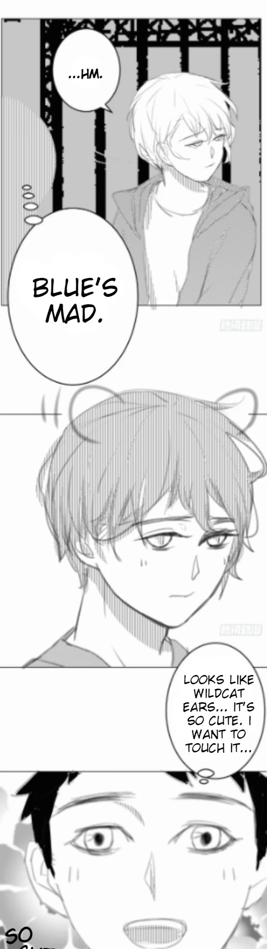 I Am My Wife chapter 60.5 page 5