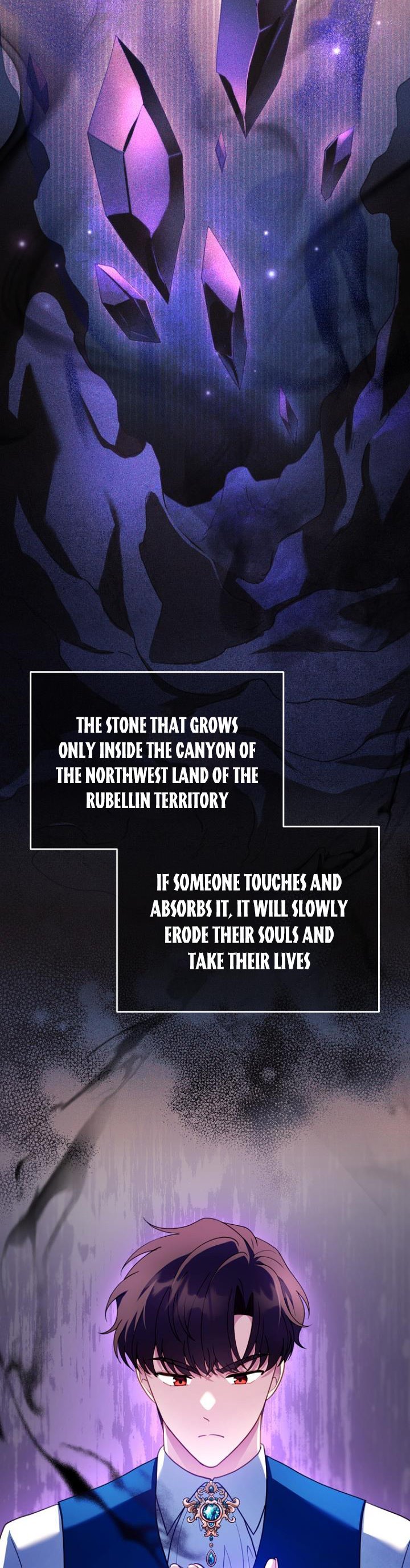 I Am Trying to Divorce My Villain Husband, but We Have a Child chapter 23 page 3