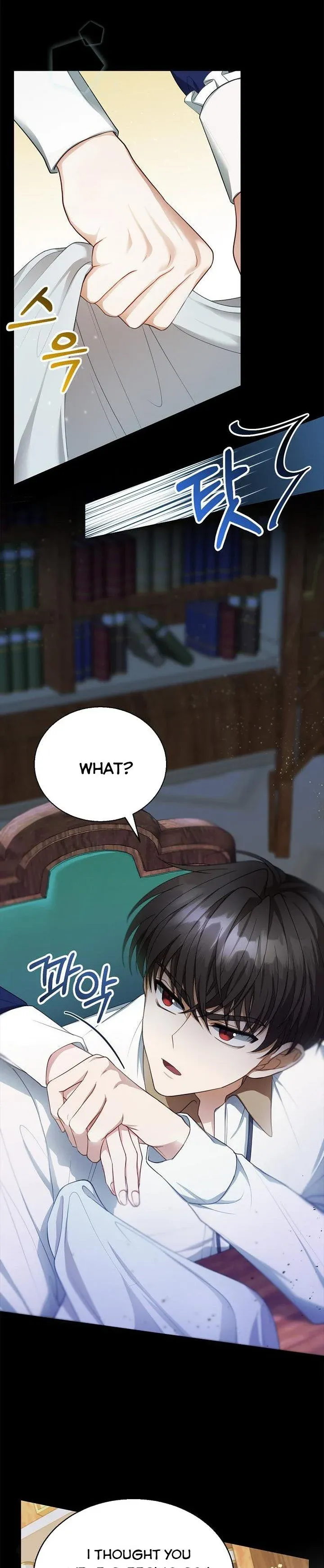 I Am Trying to Divorce My Villain Husband, but We Have a Child chapter 3 page 11