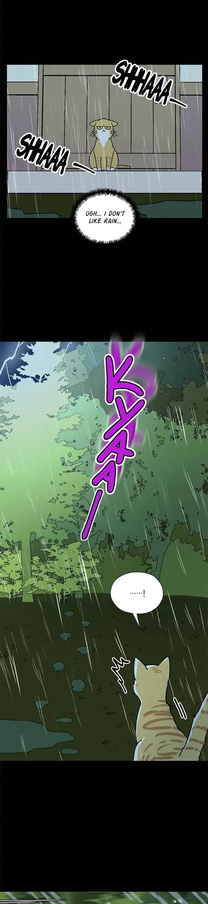 I Became the Chef of the Dragon King chapter 51 page 13