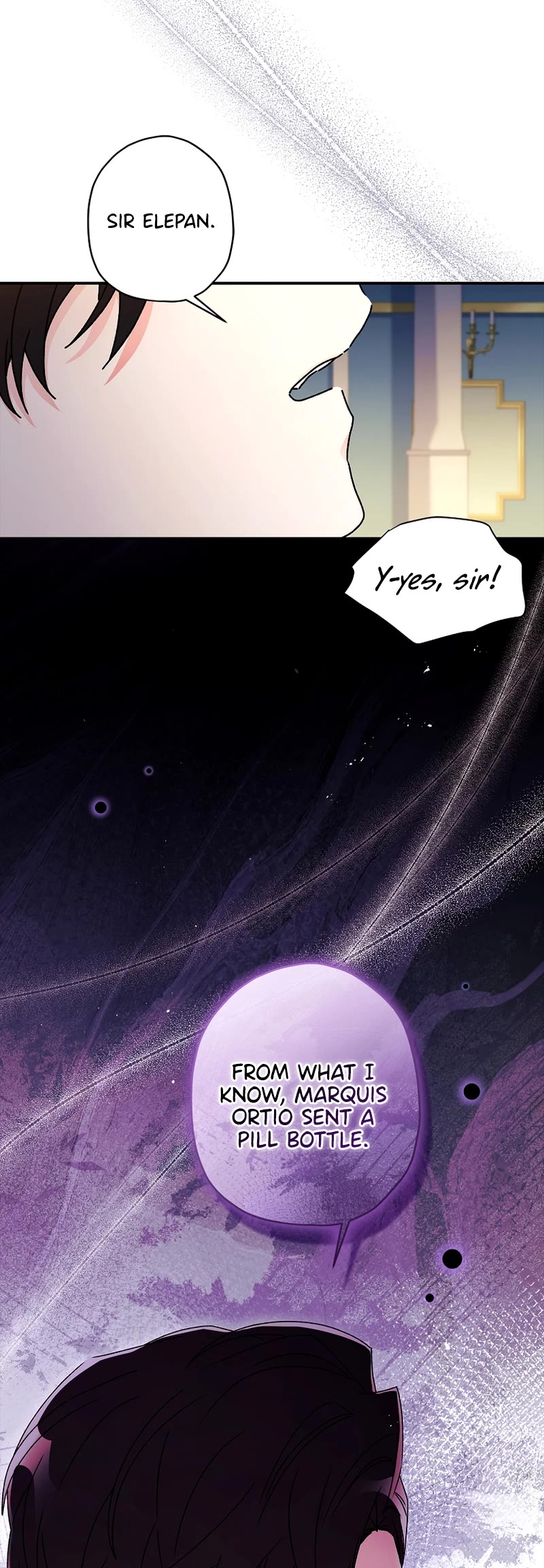 I became the Male Lead’s Adopted Daughter chapter 113 page 11