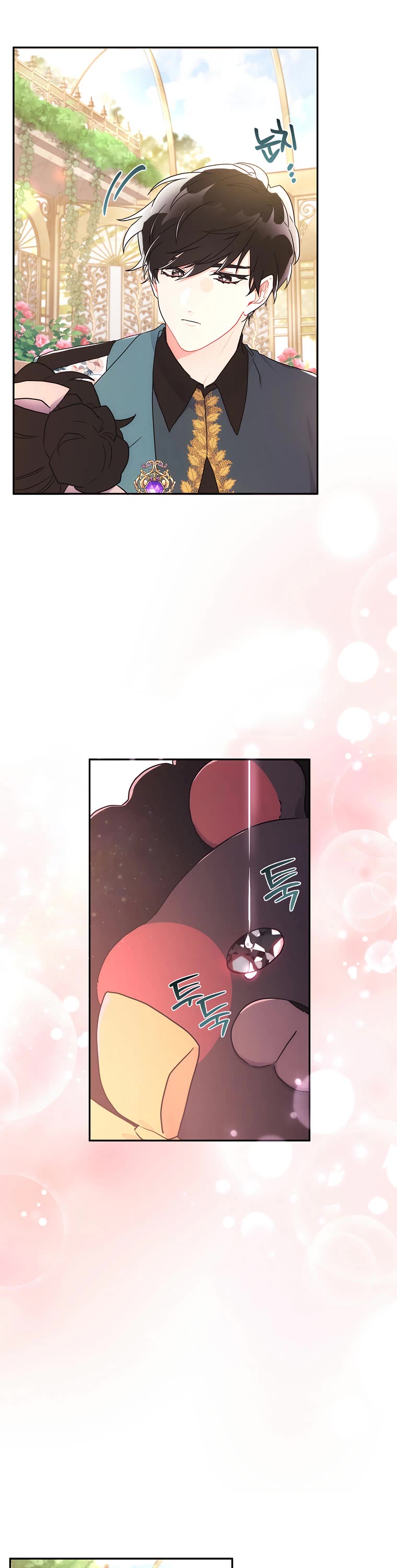 I became the Male Lead’s Adopted Daughter chapter 59 page 17