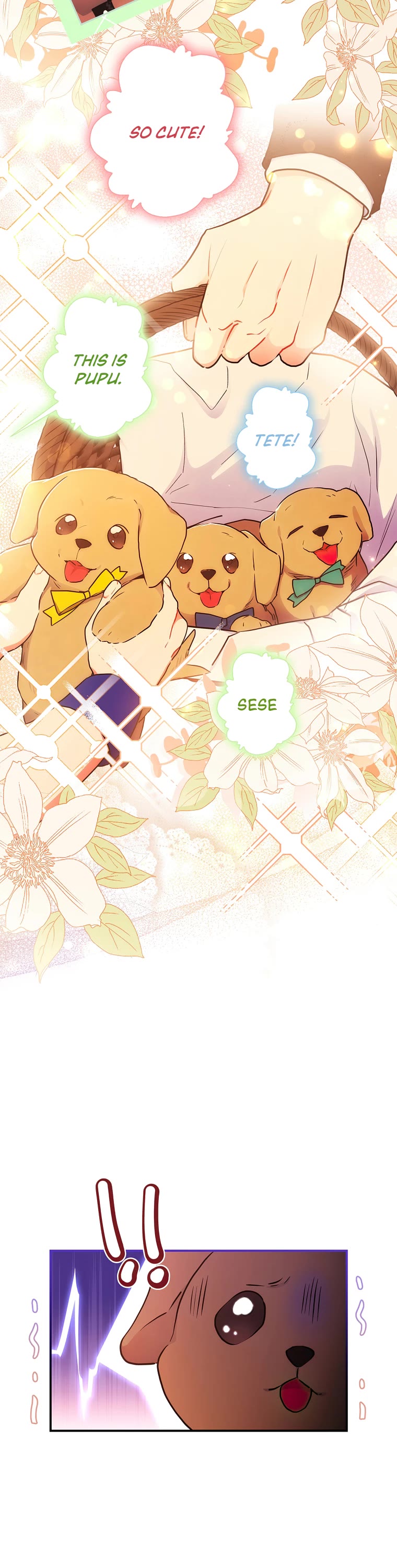 I became the Male Lead’s Adopted Daughter chapter 80 page 19