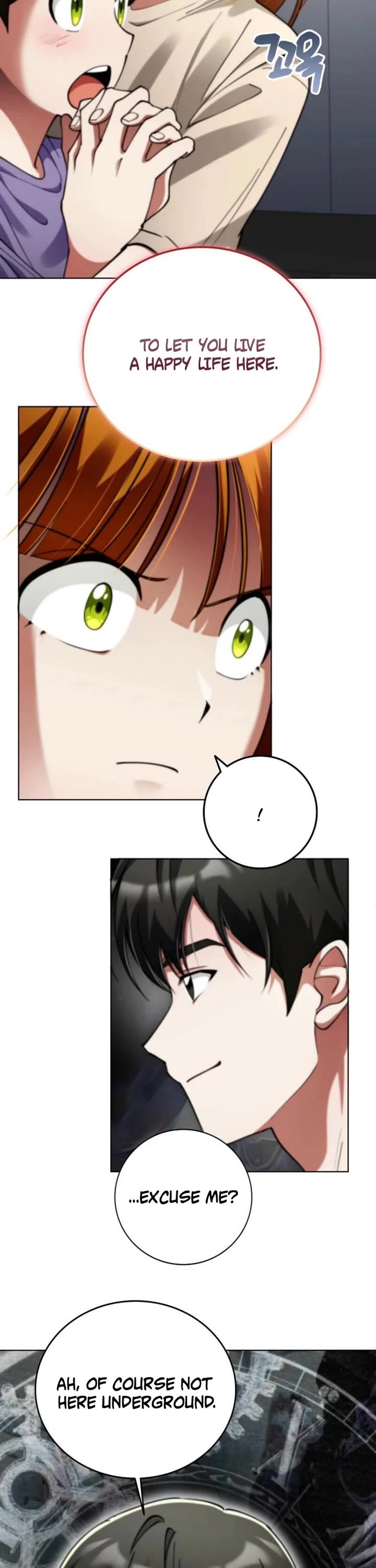 I Became The Villain The Hero Is Obsessed With chapter 20 page 23