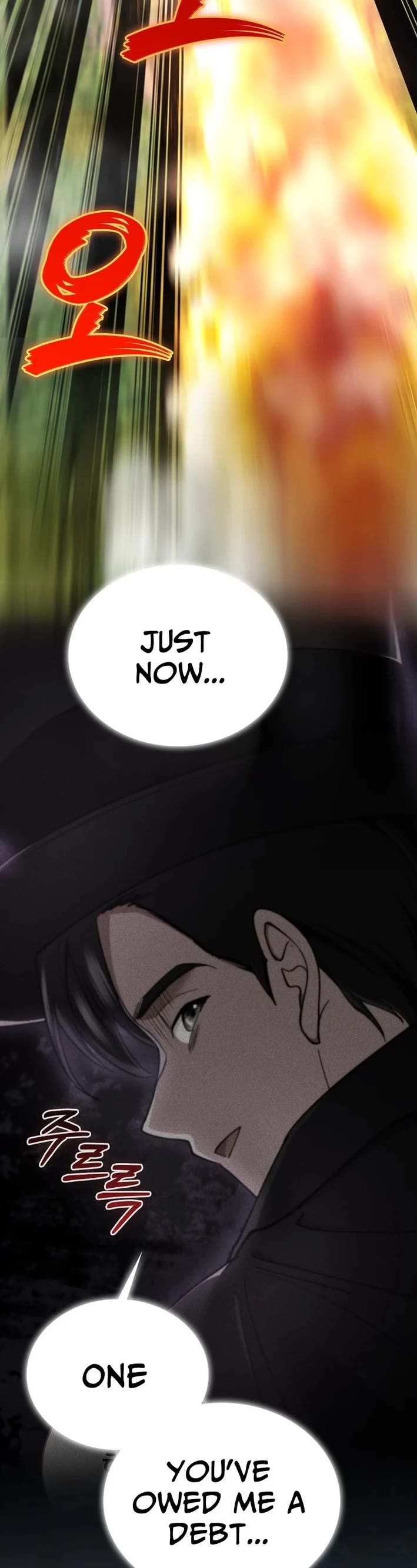 I Became The Villain The Hero Is Obsessed With chapter 37 page 3