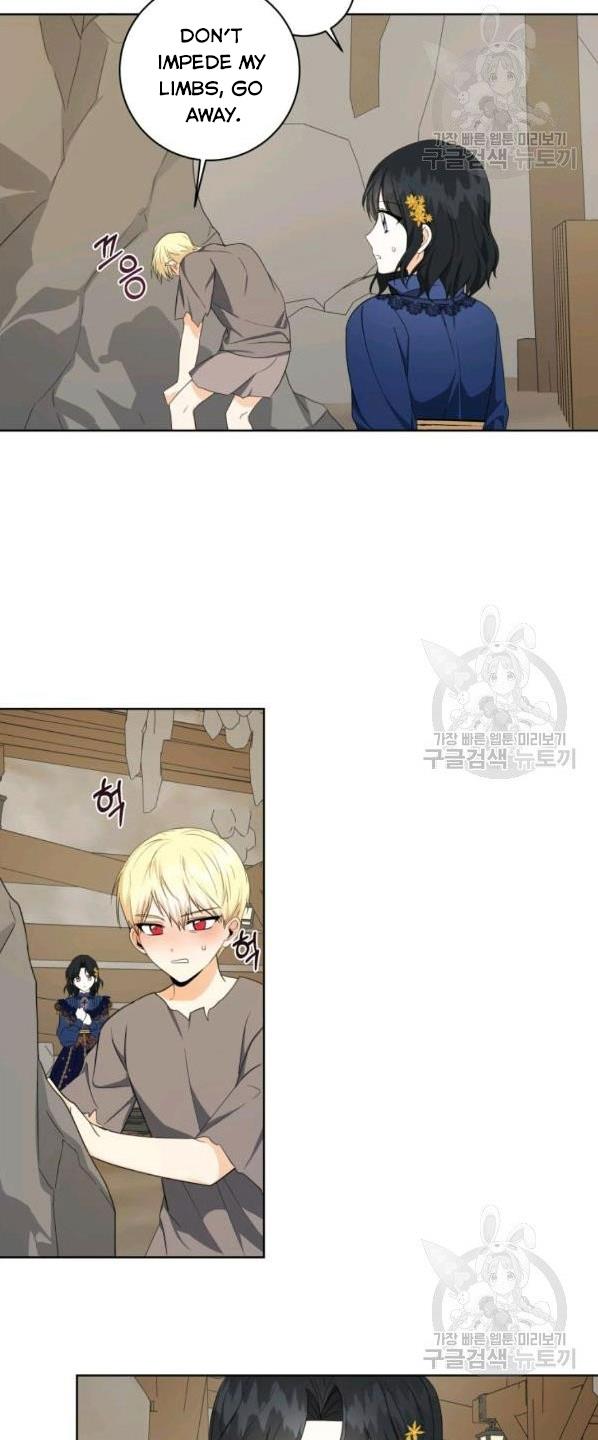 I Became The Wife Of A Tragedy’s Main Lead chapter 31 page 29