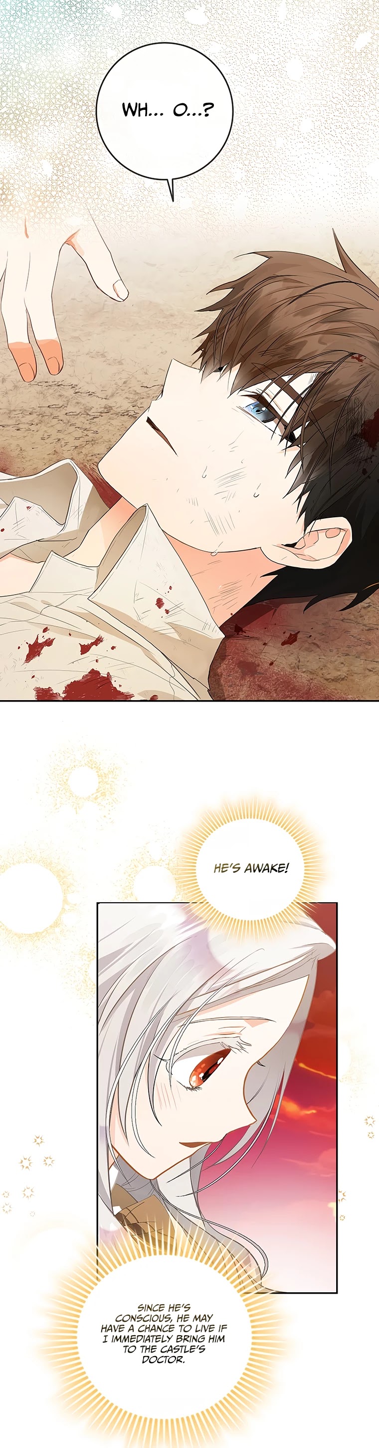 I Became the Wife of the Male Lead chapter 5 page 15