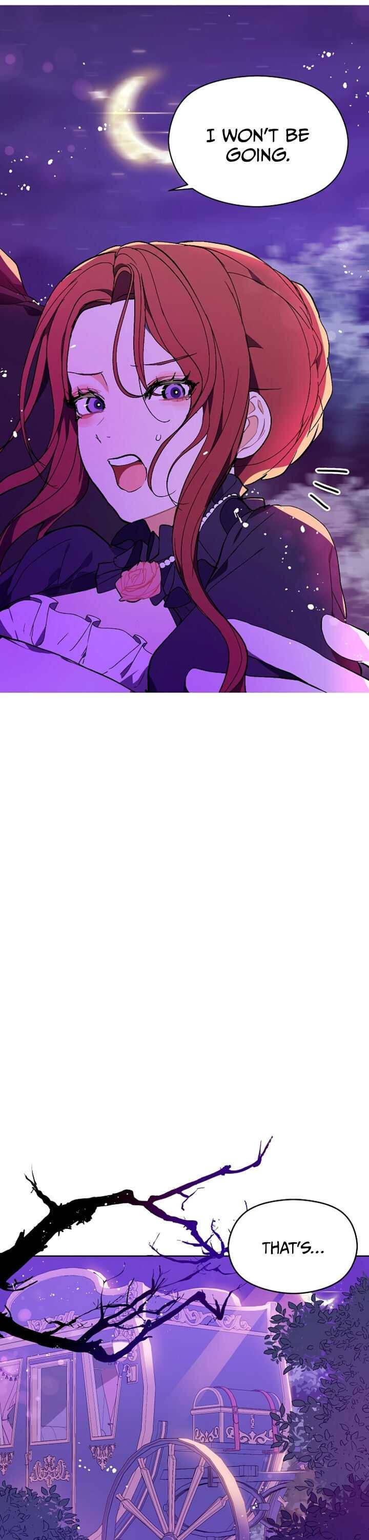 I Didn’t Mean To Seduce The Male Lead chapter 11 page 13