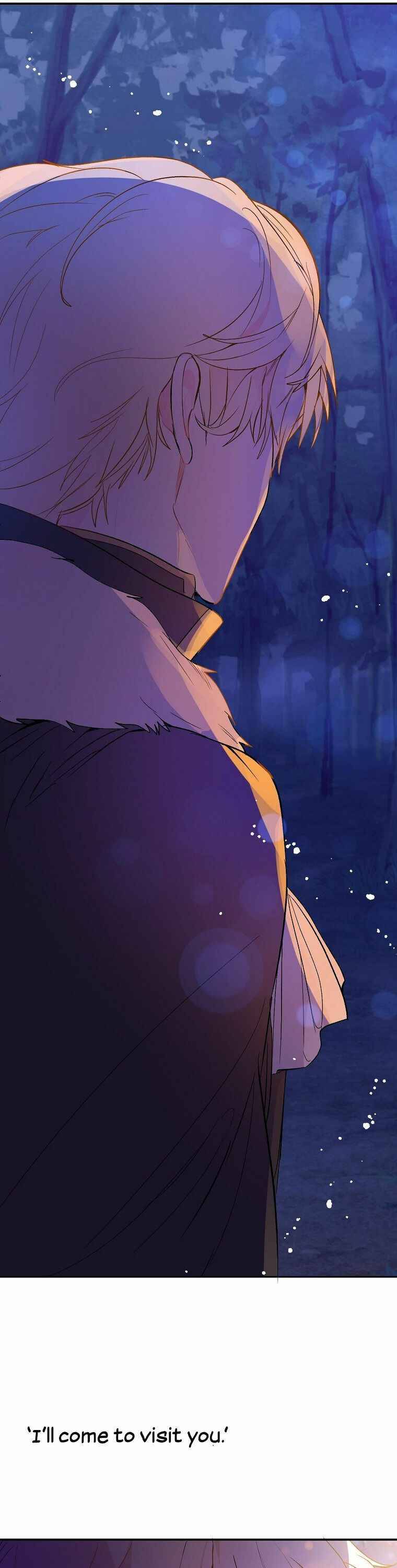 I Didn’t Mean To Seduce The Male Lead chapter 2 page 27