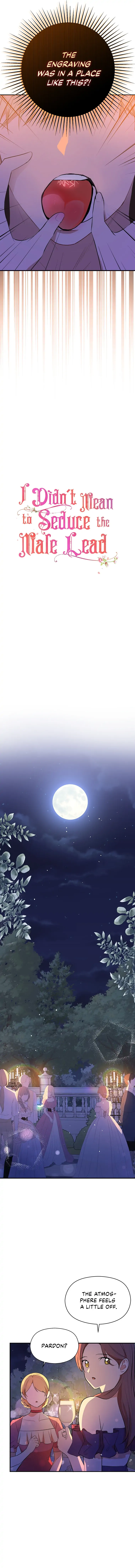 I Didn’t Mean To Seduce The Male Lead chapter 45 page 3