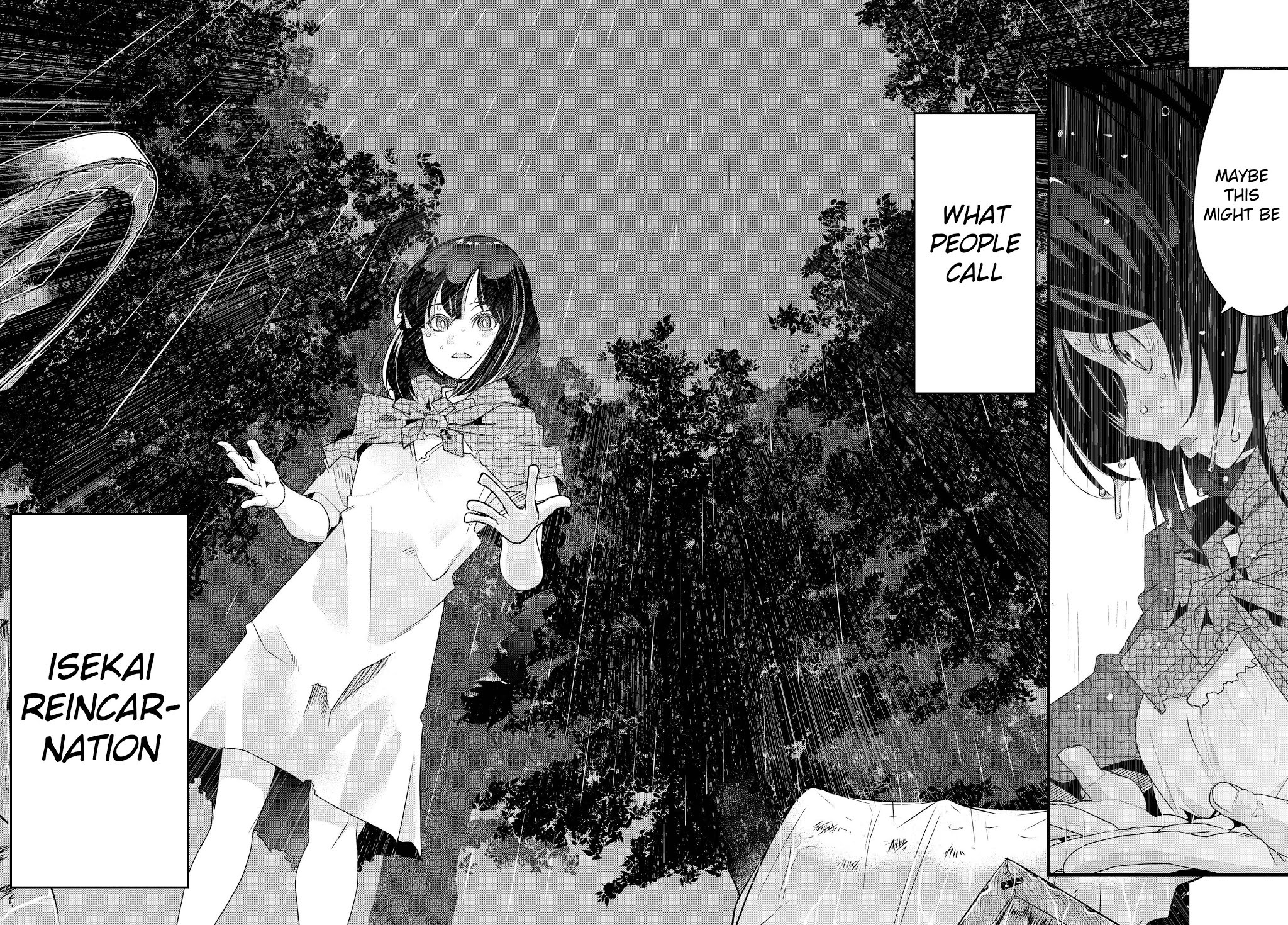 I Don't Really Get it, but it Looks like I Was Reincarnated in an Another World chapter 1 page 9