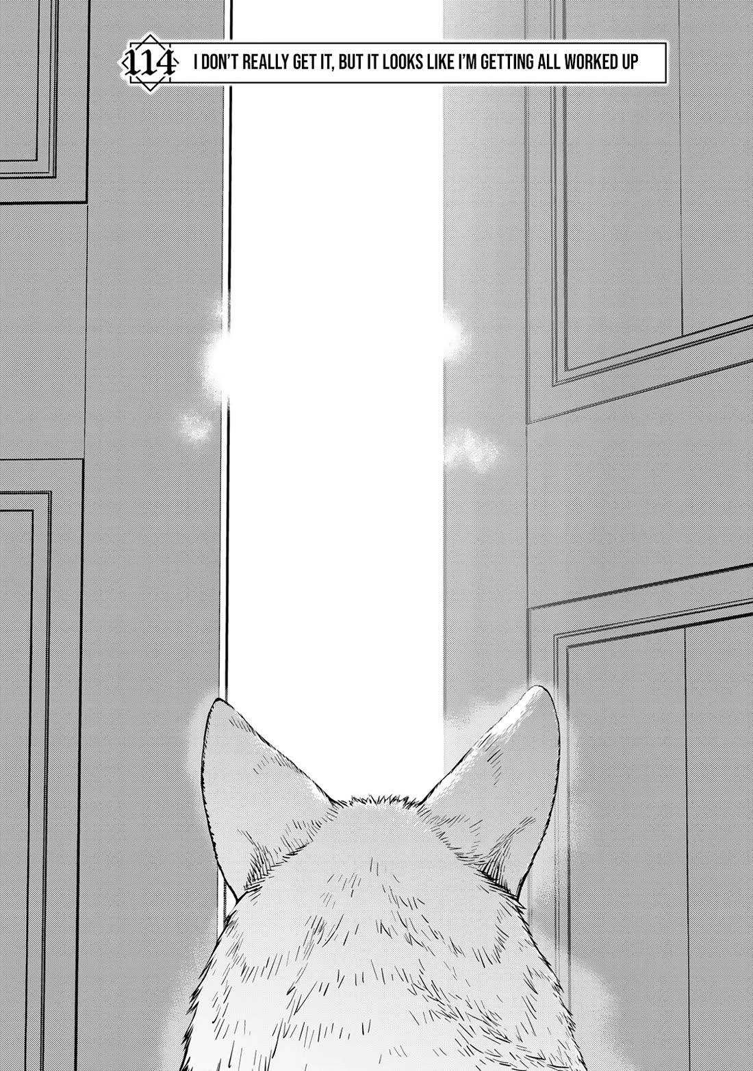 I Don't Really Get it, but it Looks like I Was Reincarnated in an Another World chapter 114 page 4