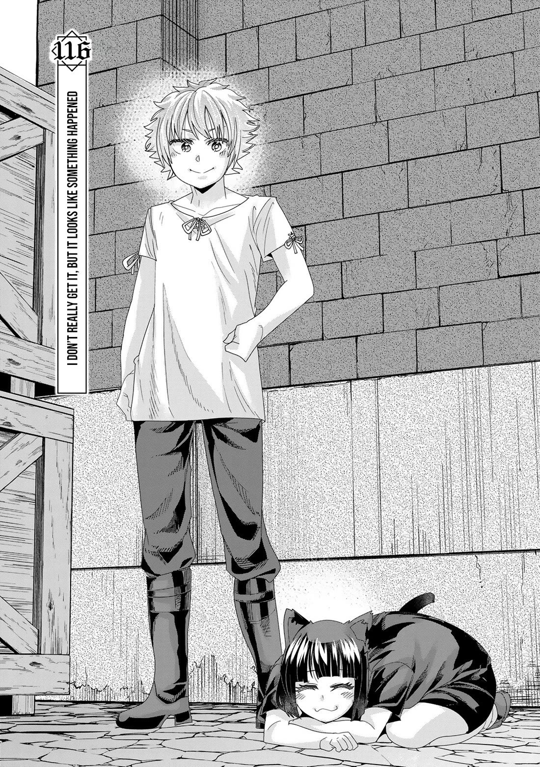 I Don't Really Get it, but it Looks like I Was Reincarnated in an Another World chapter 116 page 5