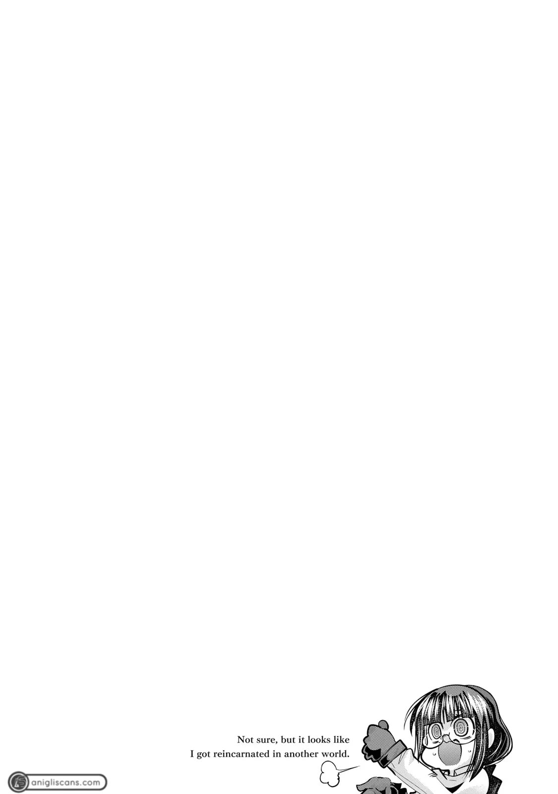 I Don't Really Get it, but it Looks like I Was Reincarnated in an Another World chapter 45 page 2