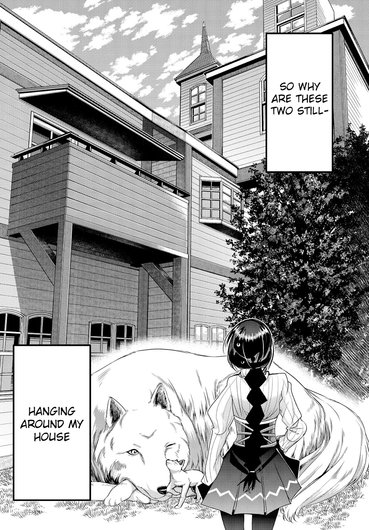 I Don't Really Get it, but it Looks like I Was Reincarnated in an Another World chapter 5 page 18