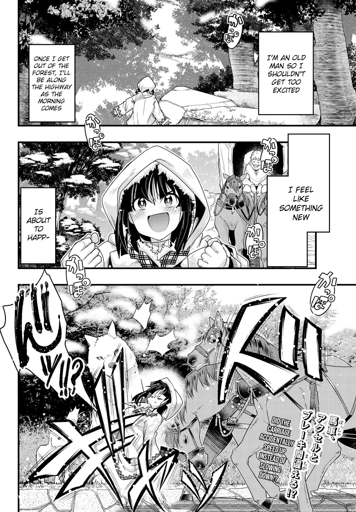 I Don't Really Get it, but it Looks like I Was Reincarnated in an Another World chapter 9 page 39