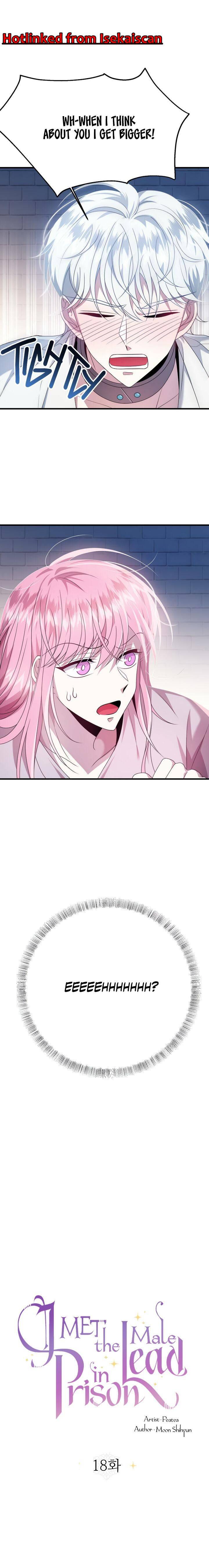 I Met The Male Lead In Prison chapter 18 page 1