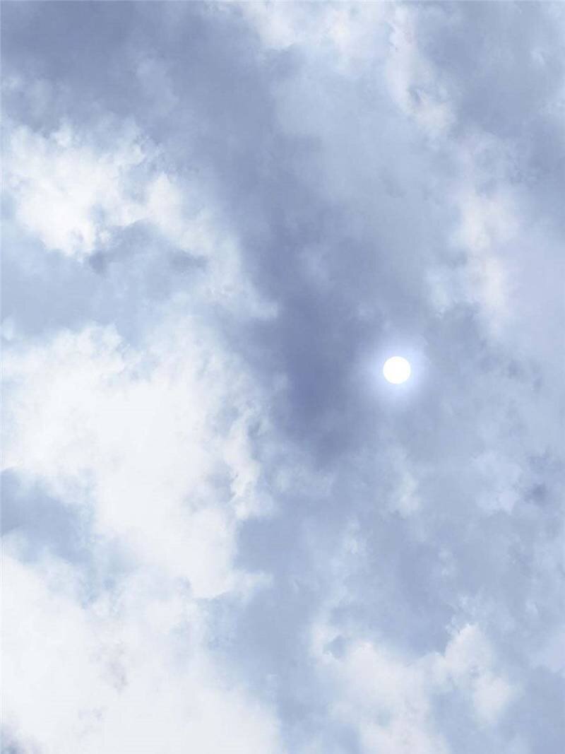 I Might Be a fake Cultivator chapter 86 page 1