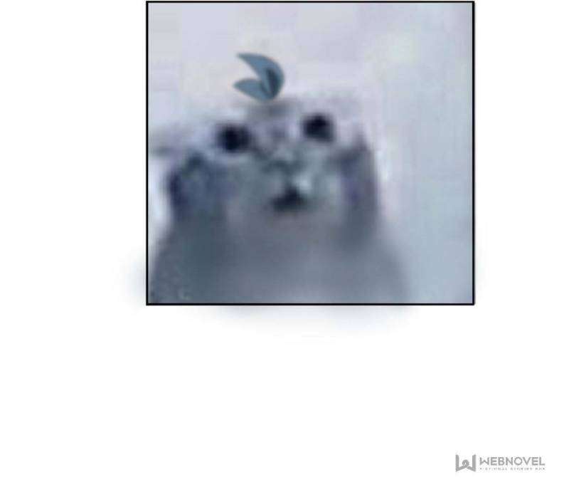 I Picked up an Attribute chapter 322 page 42