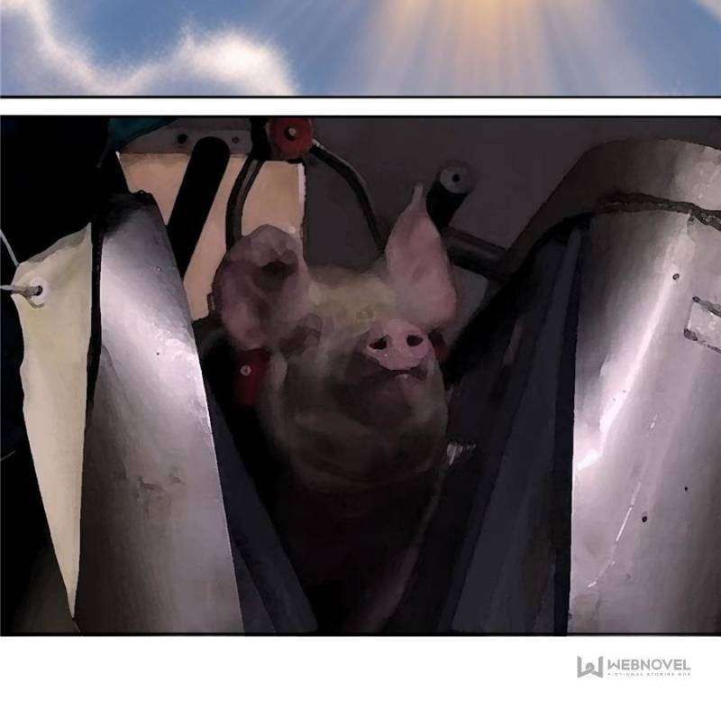 I Picked up an Attribute chapter 341 page 70