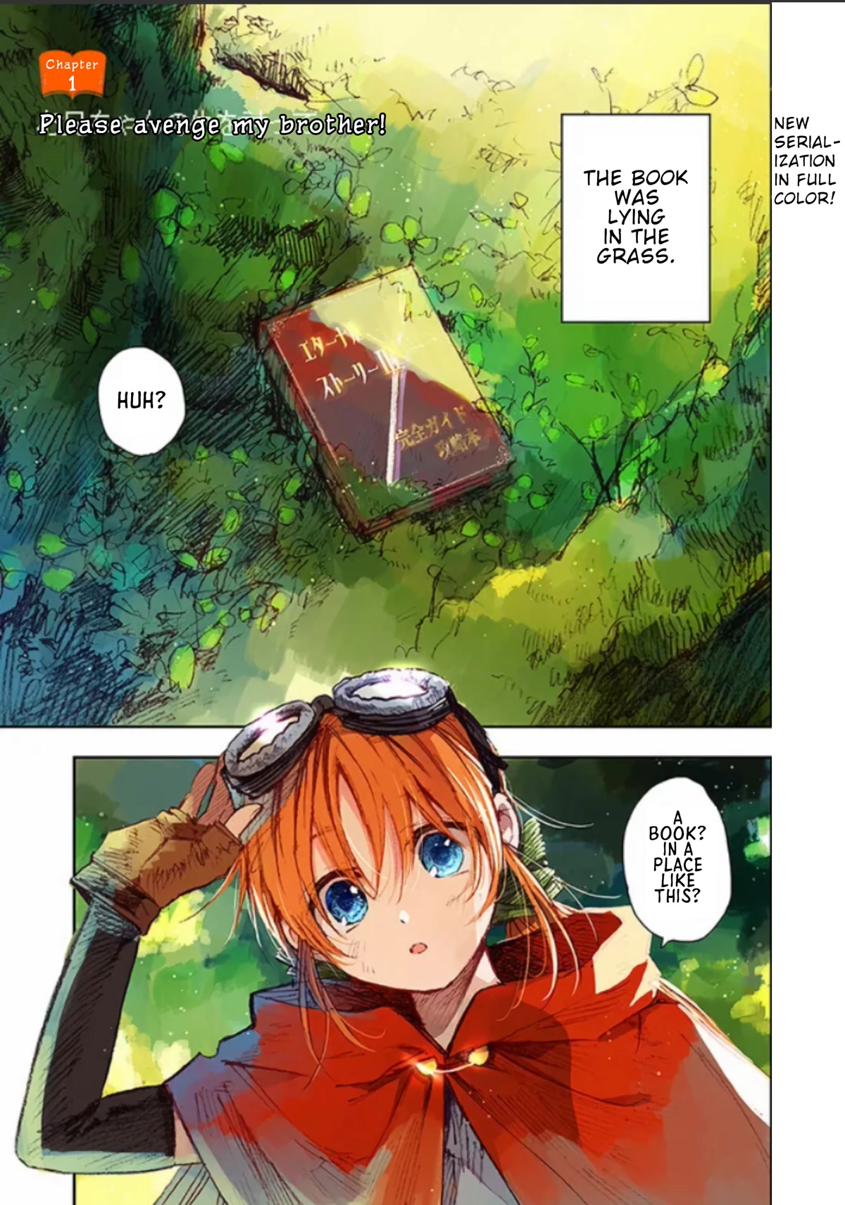 I Picked Up This World's Strategy Guide! chapter 1 page 2