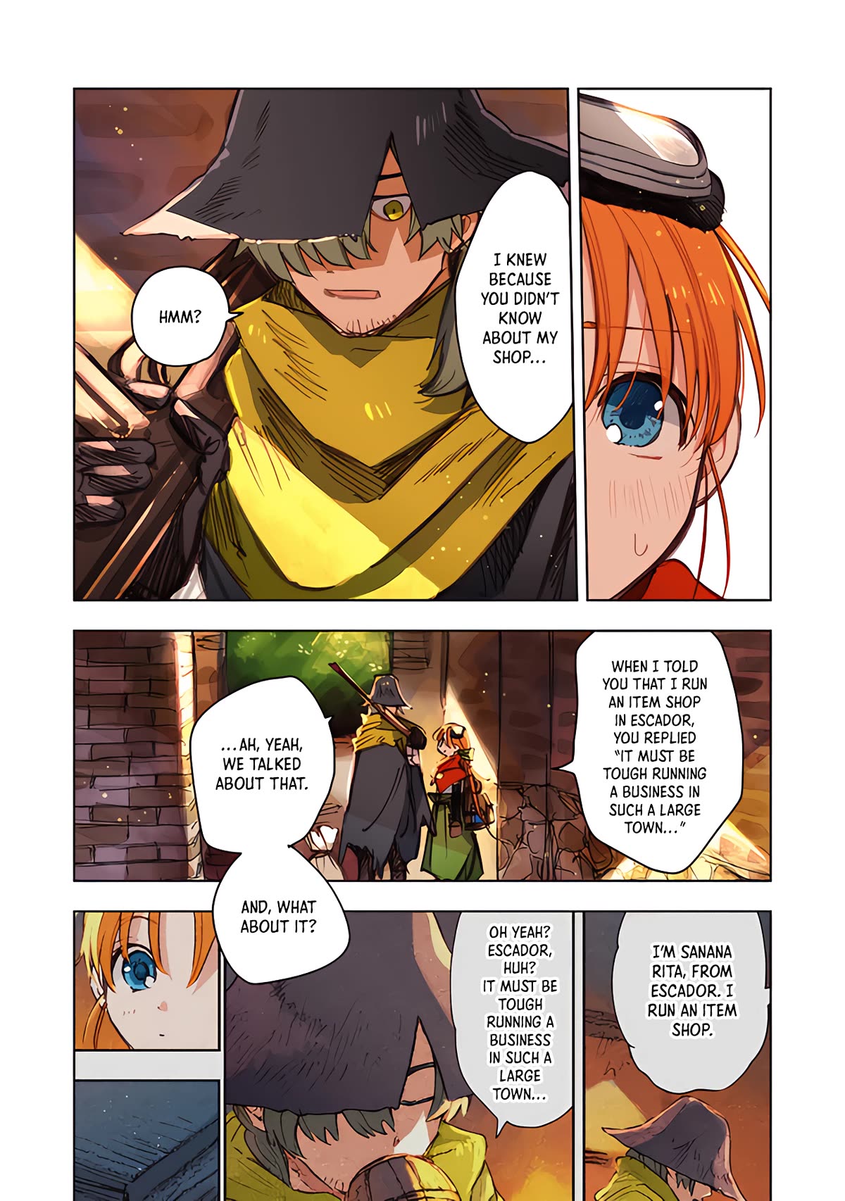 I Picked Up This World's Strategy Guide! chapter 10 page 11