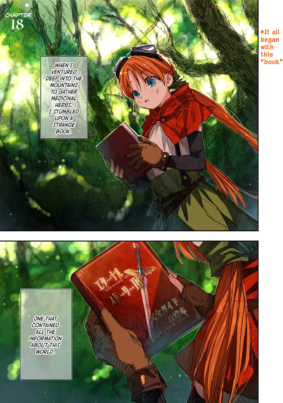 I Picked Up This World's Strategy Guide! chapter 18 page 1