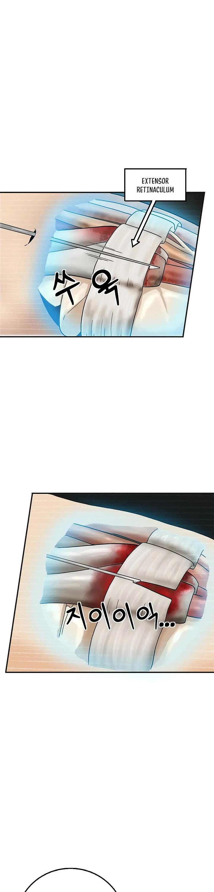 I Reincarnated as a Legendary Surgeon chapter 206 page 12