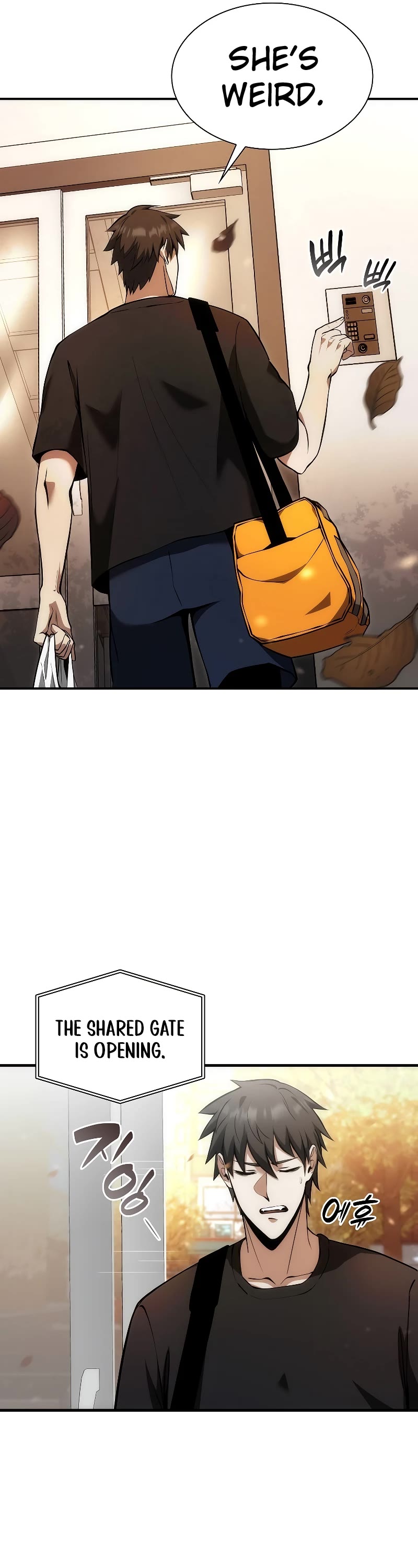 I Returned as an FFF-Class Witch Doctor chapter 46 page 7