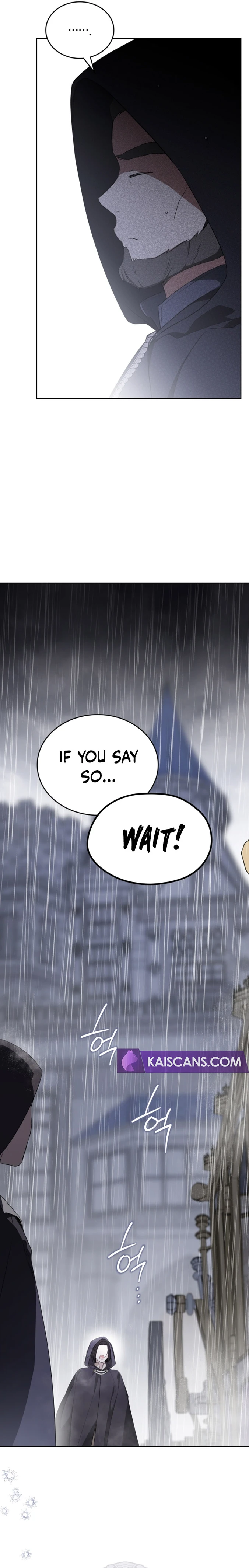 I Shall Master This Family chapter 147 page 30