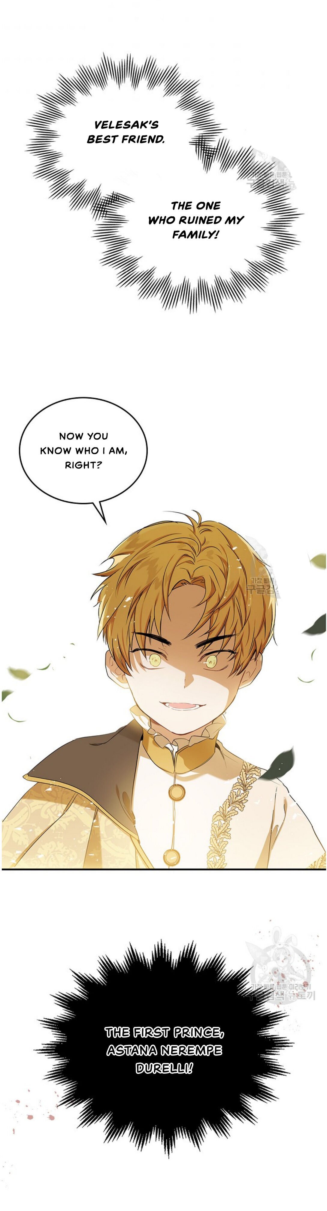 I Shall Master This Family chapter 15 page 17