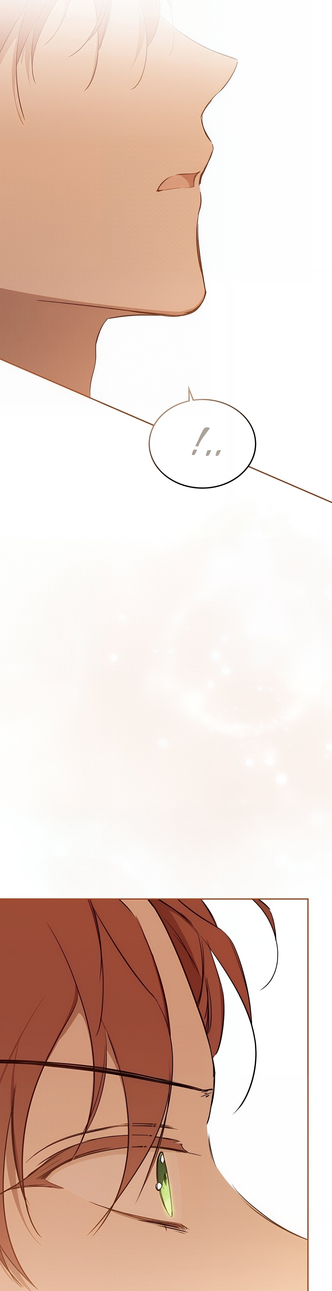 I Shall Master This Family chapter 158 page 22