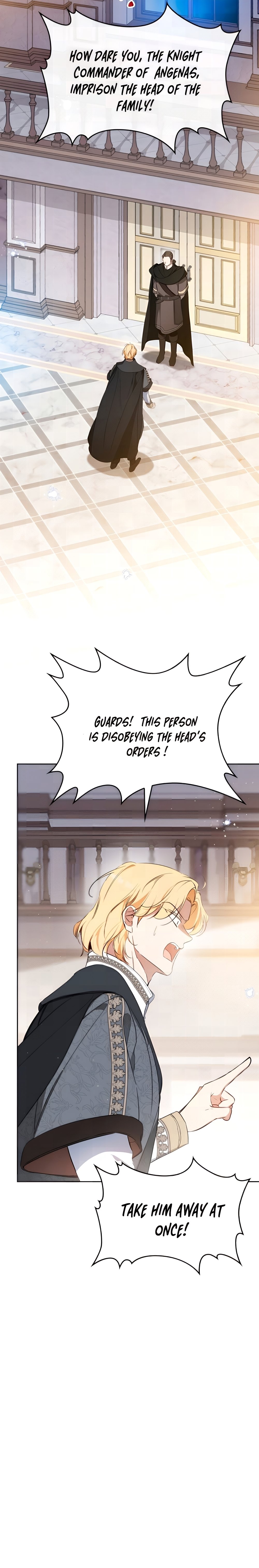 I Shall Master This Family chapter 162 page 28