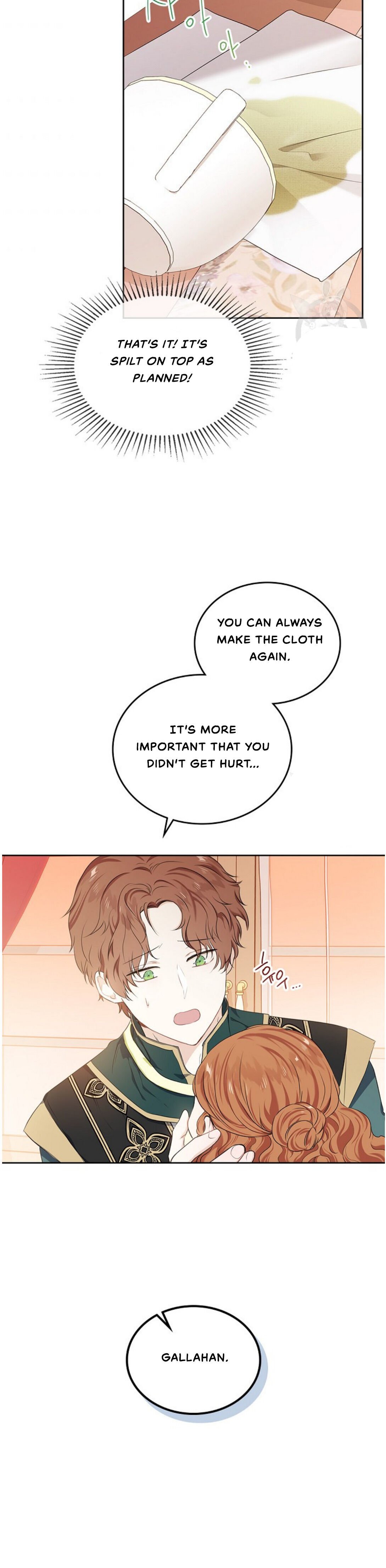 I Shall Master This Family chapter 19 page 17