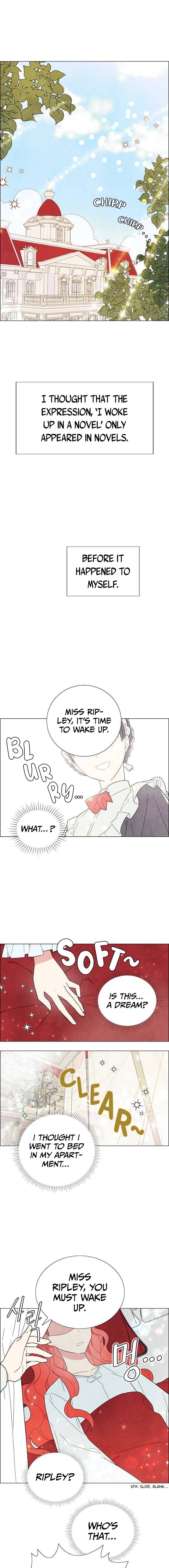 I Stole the Male Lead's First Night chapter 1 page 1