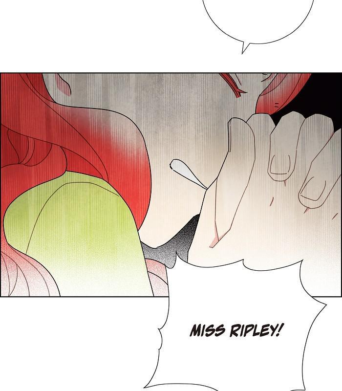 I Stole the Male Lead's First Night chapter 50 page 68