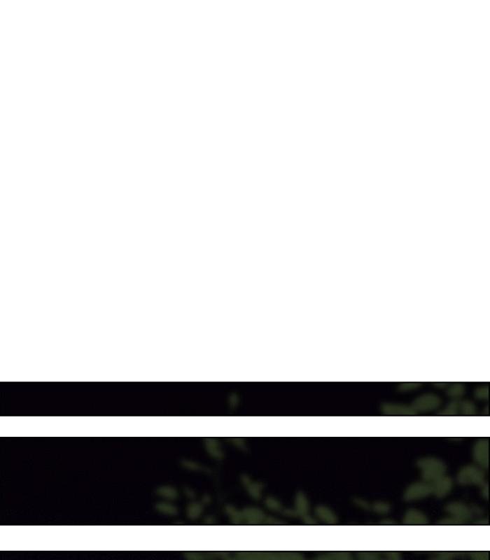 I Stole the Male Lead's First Night chapter 52 page 52