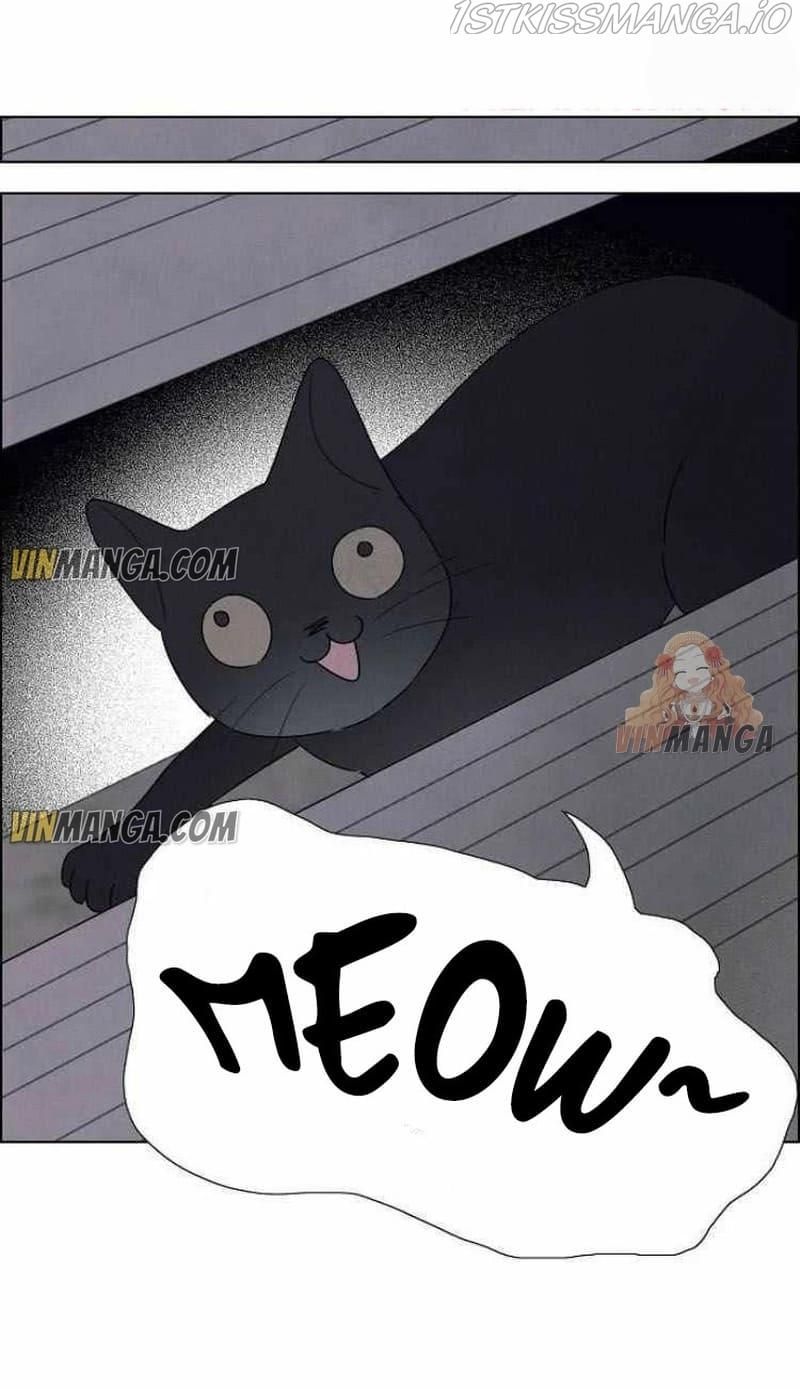 I Stole the Male Lead's First Night chapter 74.5 page 19