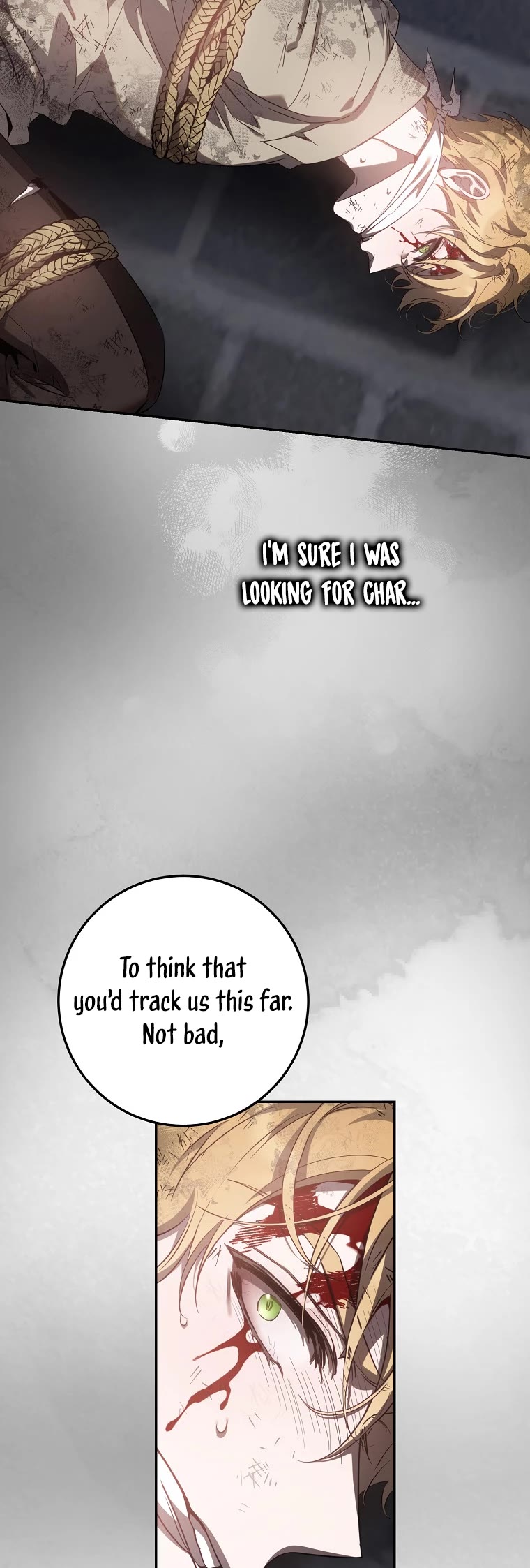 I Tamed a Tyrant and Ran Away chapter 94 page 26