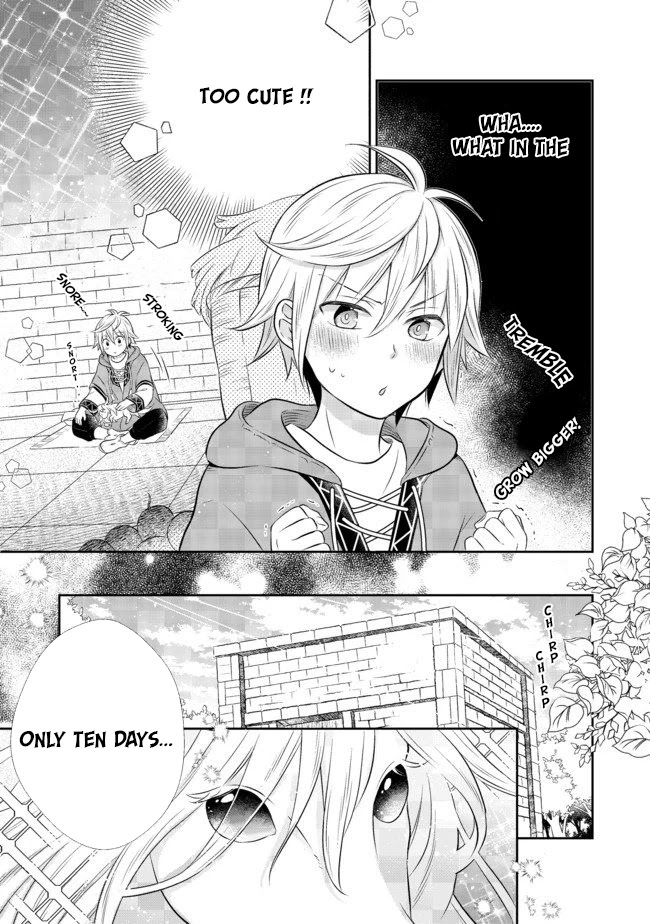 I Was Reincarnated as a Poor Farmer in a Different World, so I Decided to Make Bricks to Build a Castle chapter 4.1 page 9