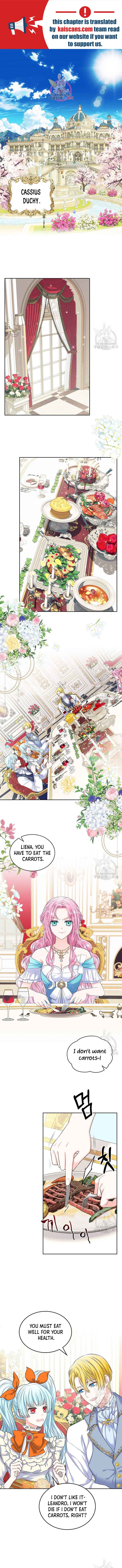 I Will Divorce the Female Lead’s Siscon Brother chapter 1 page 2