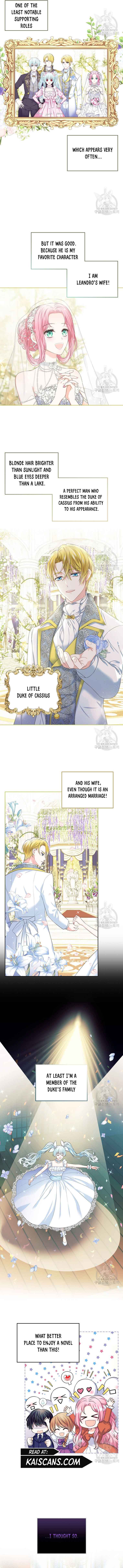 I Will Divorce the Female Lead’s Siscon Brother chapter 1 page 9