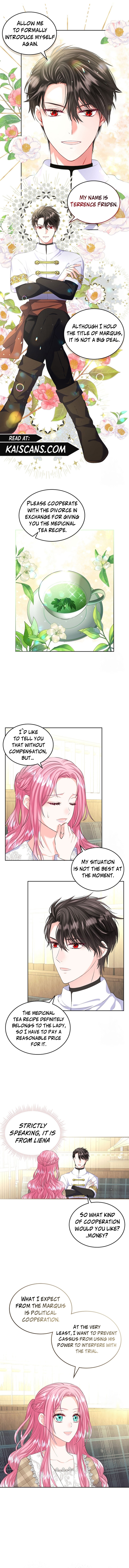 I Will Divorce the Female Lead’s Siscon Brother chapter 14 page 3