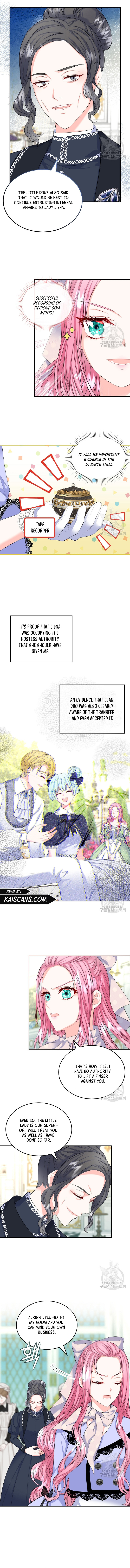 I Will Divorce the Female Lead’s Siscon Brother chapter 18 page 3